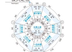 Biei 九星氣学風水鑑定（60分オンライン）鑑定書付