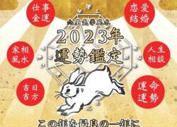 Healup 九星気学風水2023年 年運鑑定【ビジネス・一般】(60分)