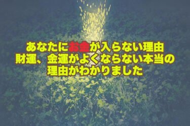 あなたにお金が入らない理由：財運、金運がよくならない本当の理由がわかりました（人生導きの書）