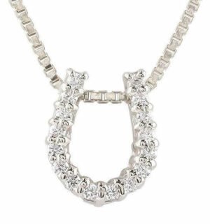 馬蹄 デザイン プラチナ ダイヤ レディース ペンダント ネックレス