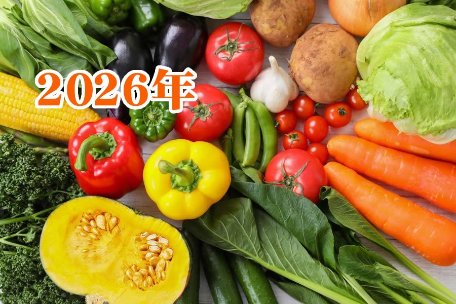 2026年の健康運を上げる方法 風水・占い・スピリチュアル